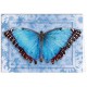 TREE FREE GREETING CARD Butterfly #1